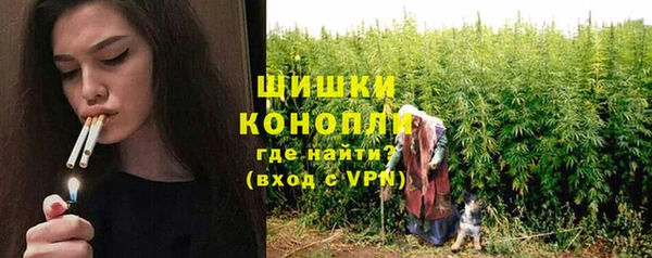 трава Аркадак