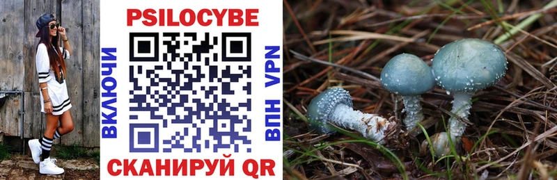 Псилоцибиновые грибы Cubensis  наркошоп  Асбест 