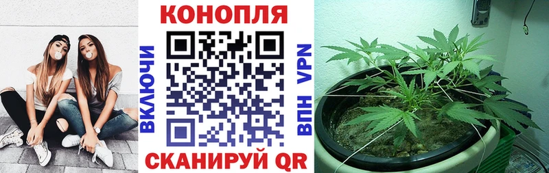 купить наркотики сайты  Асбест  Конопля OG Kush 